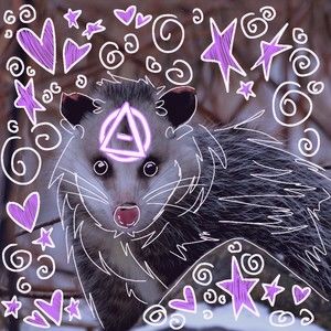 Meet your Posher, Leviticus